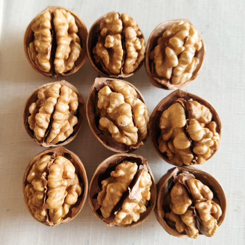 Wholesale Walnuts