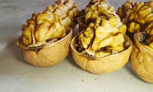 China Manufacture Quality Wholesale Walnuts For Sale With Customized Services In Exhibation
