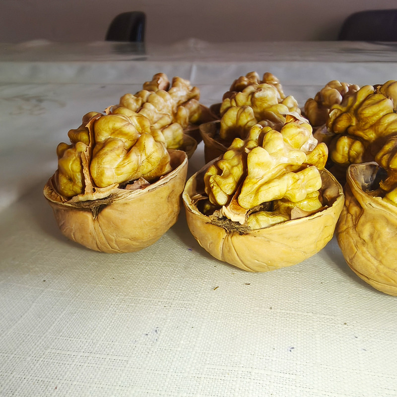 China Manufacture Quality Wholesale Walnuts For Sale With Customized Services In Exhibation