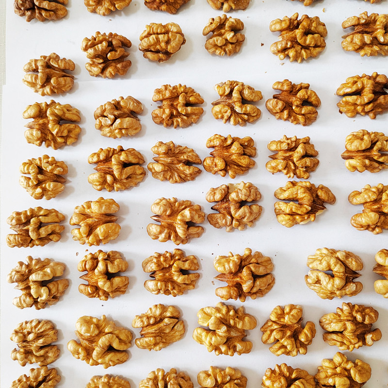 Wholesale Walnuts