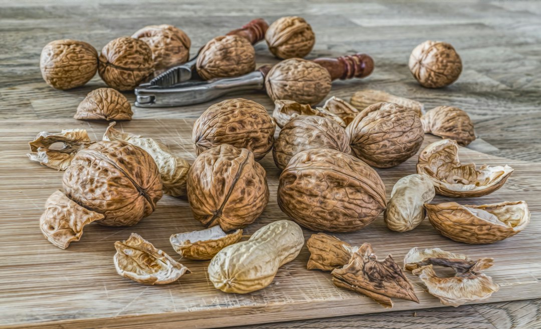 A collection of walnuts in their shells before processing