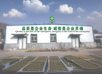 Wushi County Sunshine Agricultural Products Co., Ltd.