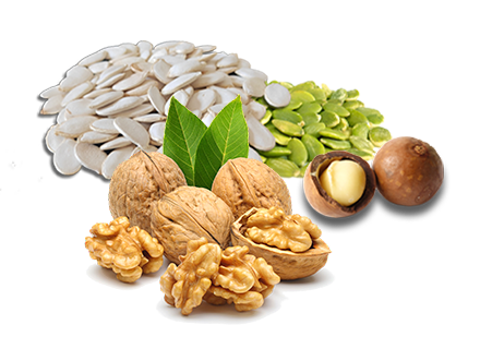 Premium Wholesale Nuts