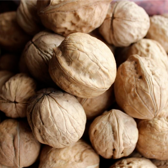 The Ultimate Guide to Buying 185 In-Shell Walnuts for Maximum Freshness