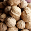 The Ultimate Guide to Buying 185 In-Shell Walnuts for Maximum Freshness