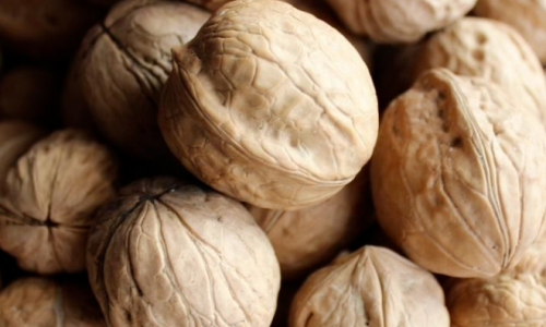 Maksimum Tazelik İçin 185 Kabuklu Ceviz Satın Alma Rehberi