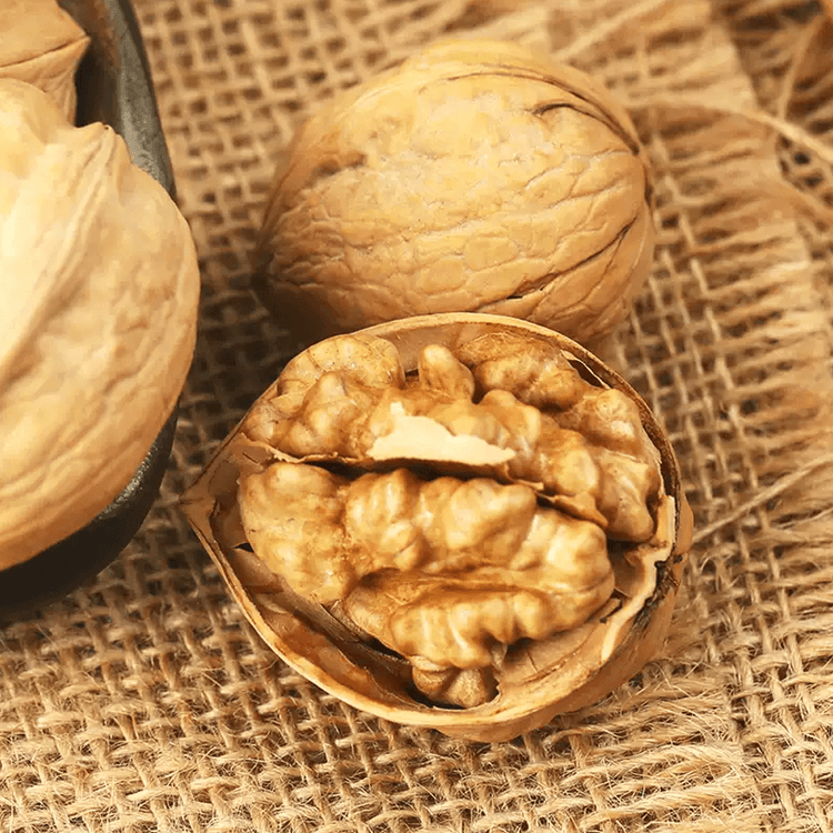 W185 Shelled Walnuts