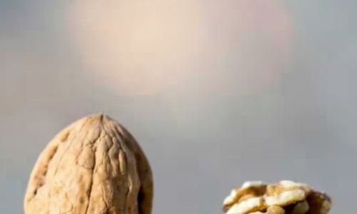 Walnut Wholesale Packaging and Labeling Tips: The Ultimate Guide from GOODLUCK