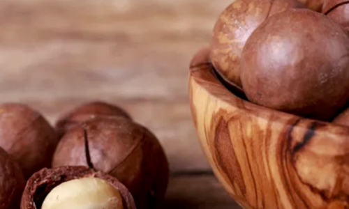 Why Wholesale Macadamia Nuts Are Your Best Investment in 2026?