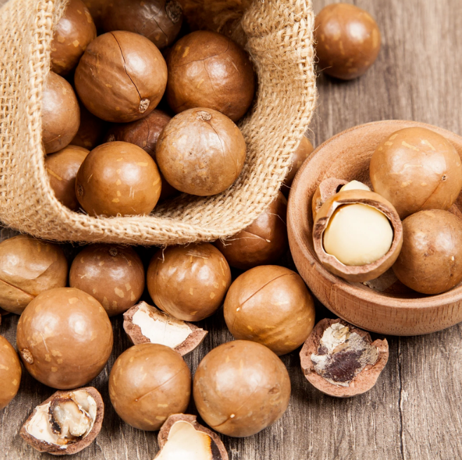 Wholesale Macadamia Nut Sourcing Guide | Partner with GOODLUCK to Unlock Premium Products