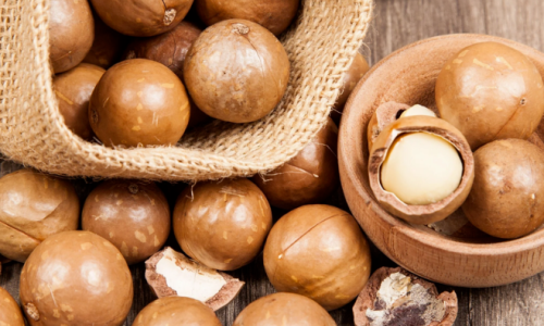 Wholesale Macadamia Nut Sourcing Guide | Partner with GOODLUCK to Unlock Premium Products