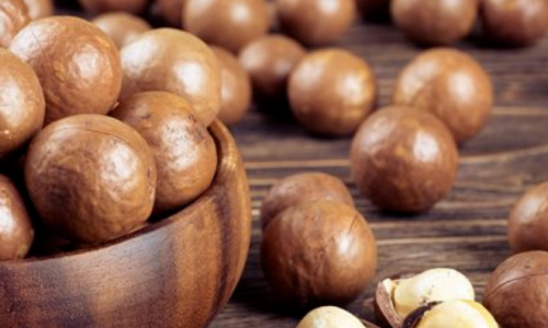 Hidden Costs of Wholesale Macadamia Nuts – Everything You Need to Know