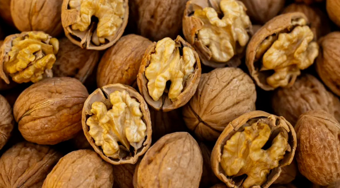 Walnut Wholesale Supplier