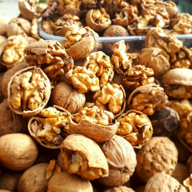 How to Accelerate Your Supply Chain with a Trusted Walnut Wholesale Supplier