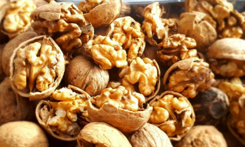 How to Accelerate Your Supply Chain with a Trusted Walnut Wholesale Supplier