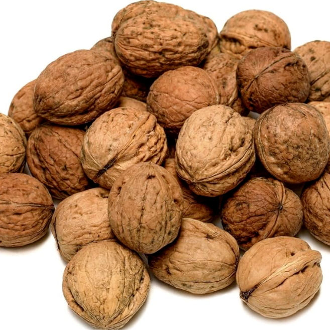 Why Fast Delivery from Walnut Wholesale Supplier is Crucial to Your Business Success