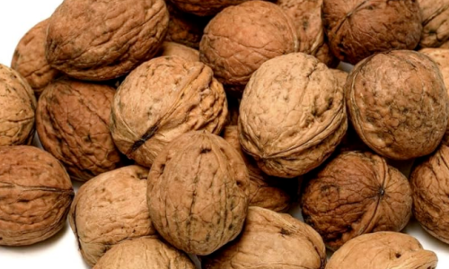 Why Fast Delivery from Walnut Wholesale Supplier is Crucial to Your Business Success