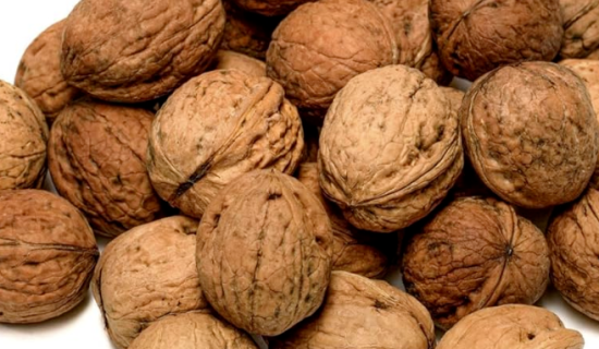 Why Fast Delivery from Walnut Wholesale Supplier is Crucial to Your Business Success