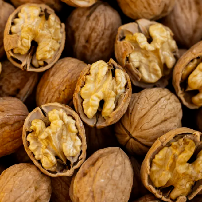 How to Get Better Wholesale Walnut Prices Online: A Complete Guide from GOODLUCK