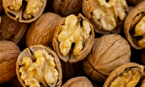 How to Get Better Wholesale Walnut Prices Online: A Complete Guide from GOODLUCK