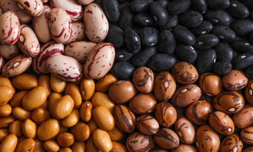 10 Effective Strategies for Finding the Best Bean Wholesale Supplier