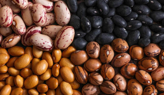 10 Effective Strategies for Finding the Best Bean Wholesale Supplier