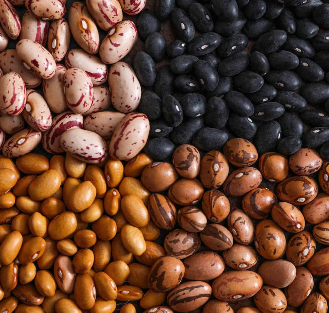 10 Effective Strategies for Finding the Best Bean Wholesale Supplier