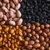 10 Effective Strategies for Finding the Best Bean Wholesale Supplier