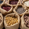 Avoid These Common Pitfalls When Choosing a Bean Wholesale Supplier