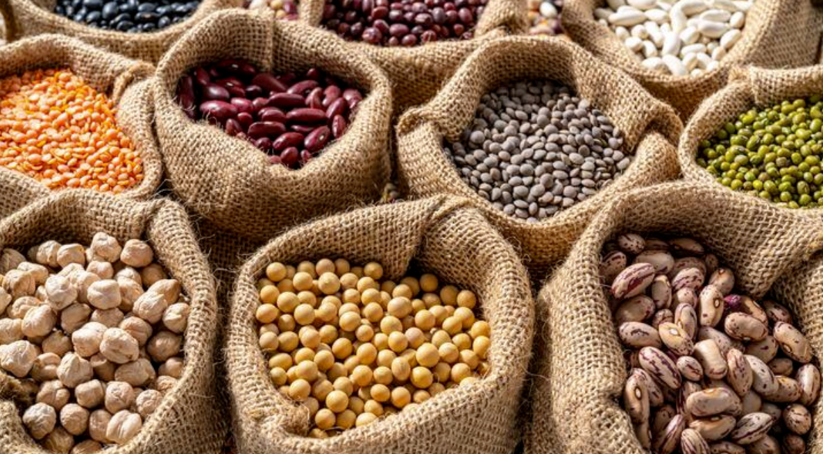 Bean Wholesale Supplier