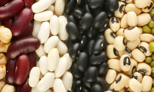 2026 Wholesale Beans Trends That Will Transform Your Business