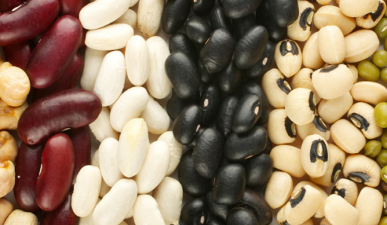 2026 Wholesale Beans Trends That Will Transform Your Business
