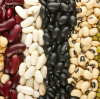 2026 Wholesale Beans Trends That Will Transform Your Business