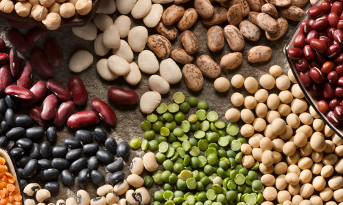 Wholesale Bean Sourcing Tips from Industry Experts