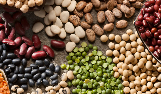 Wholesale Bean Sourcing Tips from Industry Experts