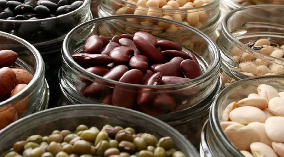 Wholesale Bean