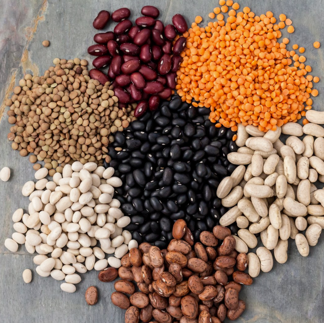 Top Certifications and Quality Standards Wholesale Beans Supplier Should Prioritize | GOODLUCK