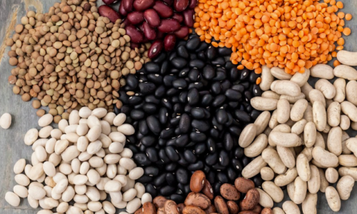 Top Certifications and Quality Standards Wholesale Beans Supplier Should Prioritize | GOODLUCK