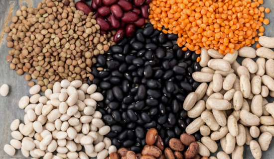 Top Certifications and Quality Standards Wholesale Beans Supplier Should Prioritize | GOODLUCK