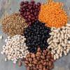Top Certifications and Quality Standards Wholesale Beans Supplier Should Prioritize | GOODLUCK