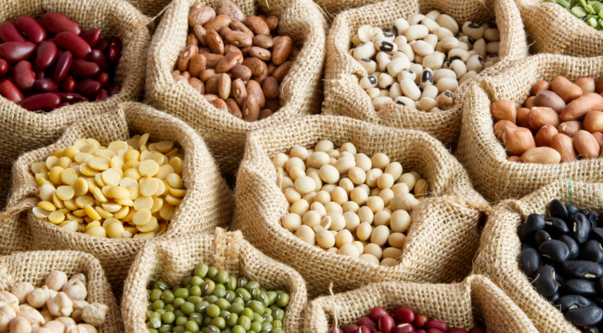 Wholesale Beans