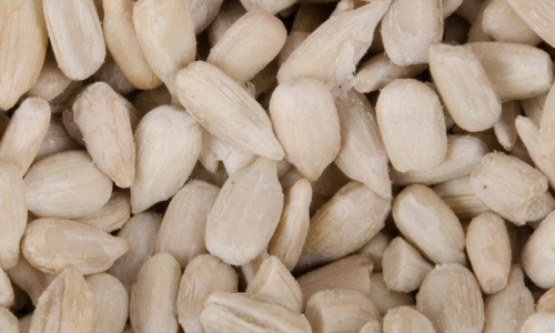 How to Ensure the Quality of Wholesale Sunflower Seeds