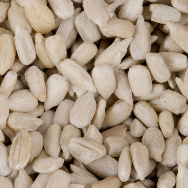 Wholesale Sunflower Seed