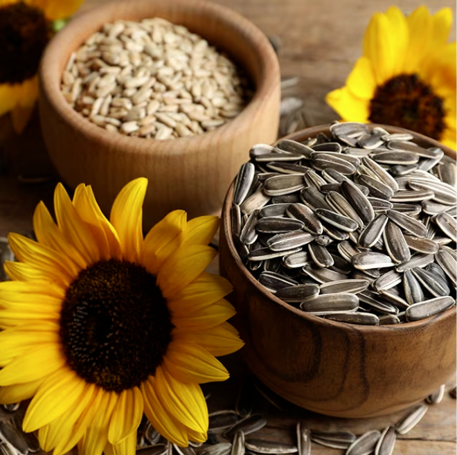 Why Wholesaling Sunflower Seeds Is the Hottest Trend in the Snack Industry