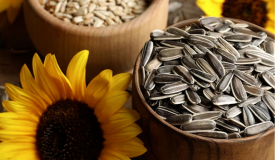 Why Wholesaling Sunflower Seeds Is the Hottest Trend in the Snack Industry