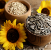 Why Wholesaling Sunflower Seeds Is the Hottest Trend in the Snack Industry