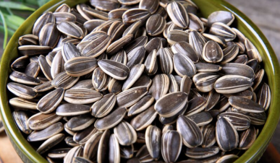 Why Seasonal Trends Must Be Considered When Purchasing Sunflower Seeds Wholesale