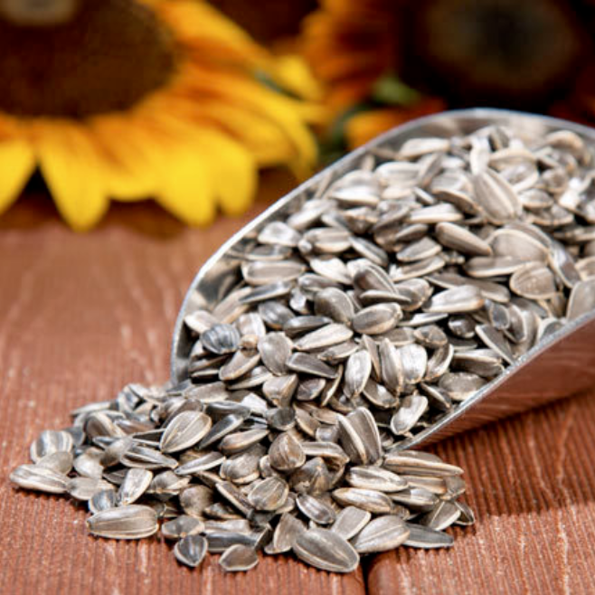 wholesale sunflower seed