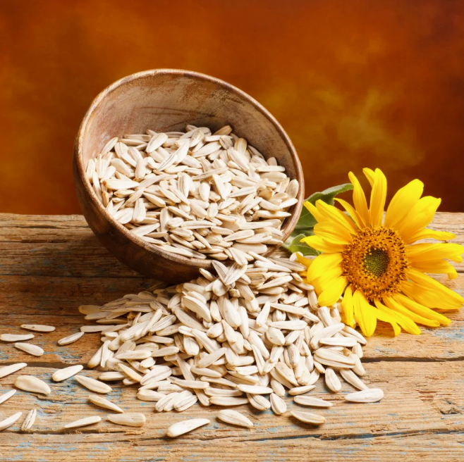 wholesale sunflower seed