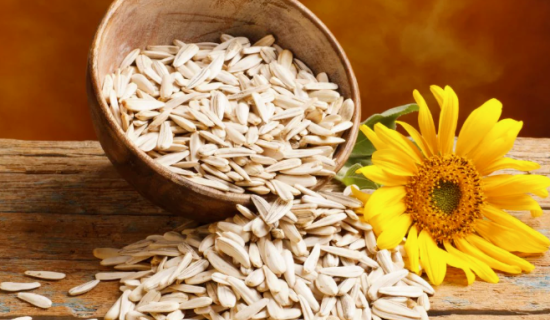 When Purchasing Sunflower Seeds Wholesale, Please Avoid These Common Mistakes
